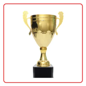 ของรางวัล (Award & Recognition)